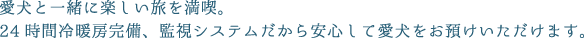 愛犬と一緒に楽しい旅を満喫