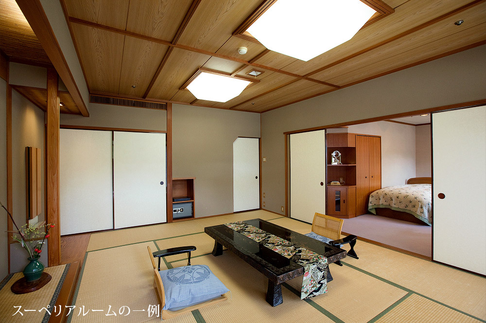 イメージ1