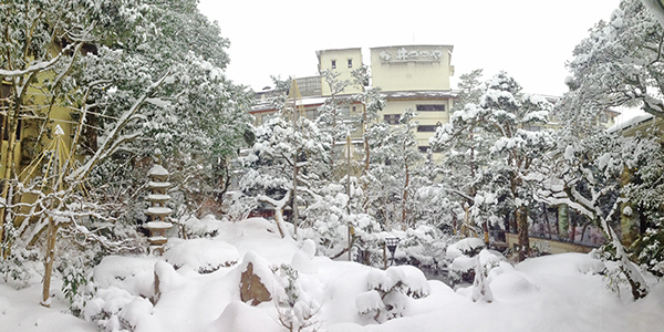 どか雪 スタッフブログ 湯村温泉 佳泉郷井づつや